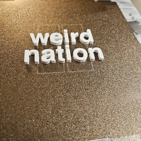 Weird Nation 3D Printed Logo